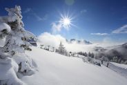 settimane bianche in trentino